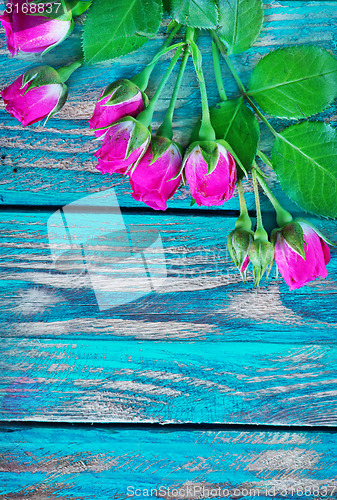 Image of background