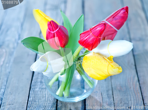 Image of tulips