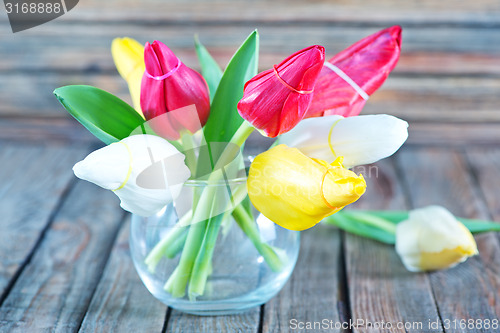 Image of tulips