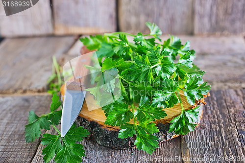 Image of fresh parsley