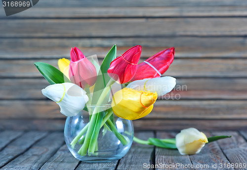 Image of tulips