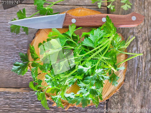 Image of fresh parsley