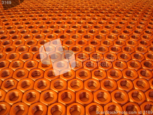 Image of Nuts