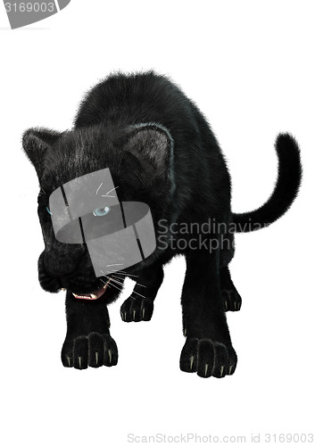 Image of Black Panther