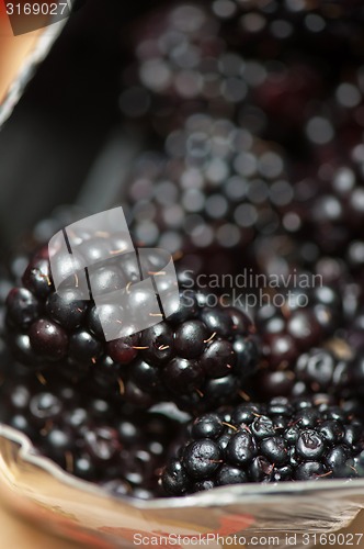 Image of Fresh ripe blackberries