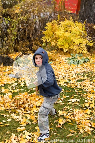 Image of Raking Leaves