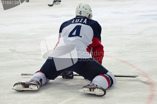 Image of Patrik Luza (4), Defender of Slovan team