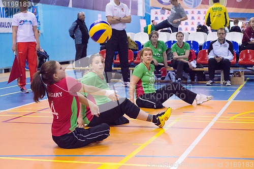 Image of Hungary team