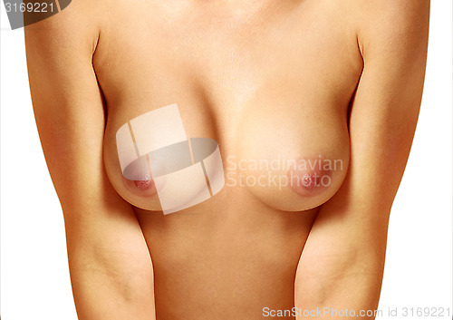 Image of beautiful female breast