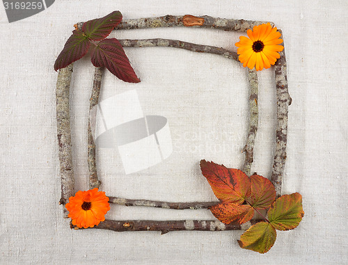 Image of Wooden frame with calendula