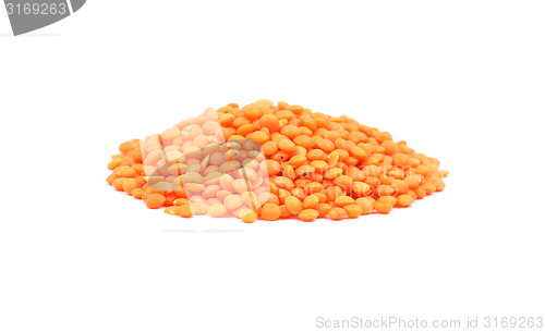 Image of Red lentils on white