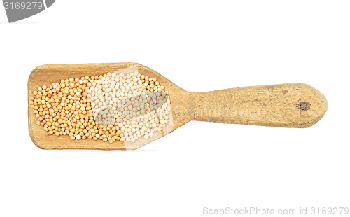 Image of Mustard seeds on shovel