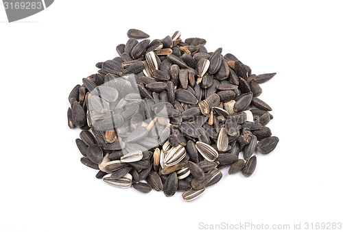 Image of Bird seed