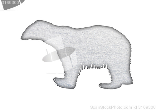 Image of Polar bear in snow