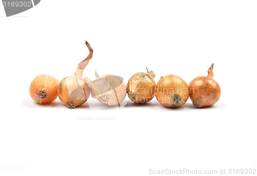 Image of Onion sets on white