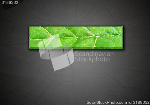 Image of strip from green leaf on gradient dark background