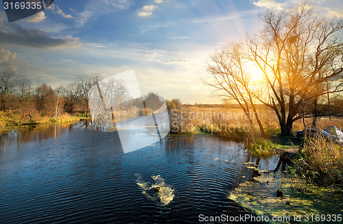 Image of Wonderful autumn