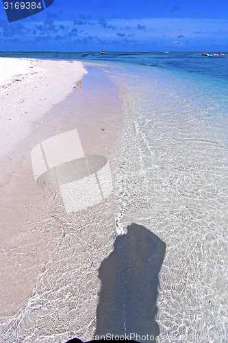 Image of beach ile du cerfs seaweed in indian ocean boat