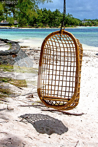 Image of lagoon  beach seaweed in  mauritius indian 