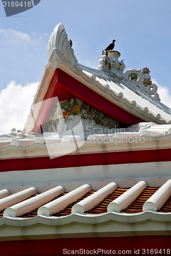 Image of asia  thailand  in  bangkok sunny  temple abstract bird