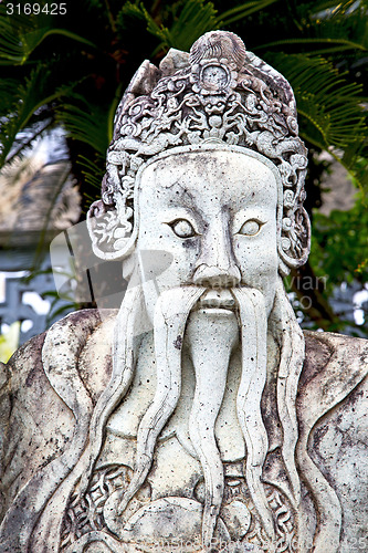 Image of beard  in the temple bangkok asia   tree