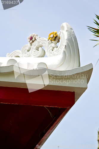 Image of asia  thailand  in  bangkok sunny flower