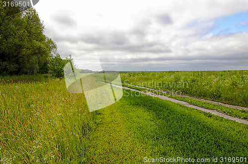 Image of Dirt road along the green meadows and forests