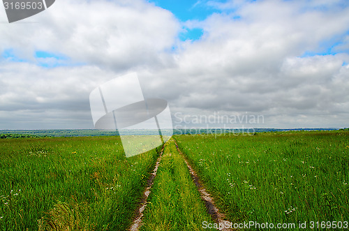 Image of Dirt road on the green field to the horizon