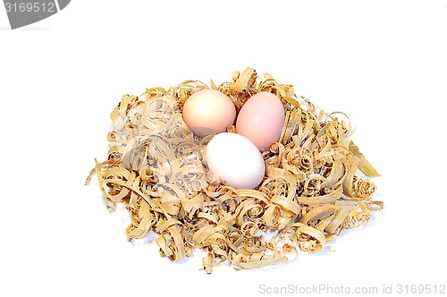 Image of Chicken eggs in a nest of wood shavings