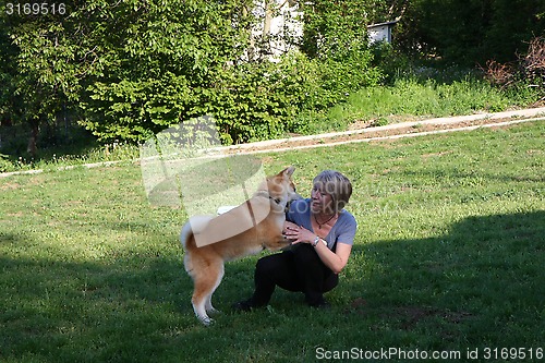 Image of Akita Inu puppy