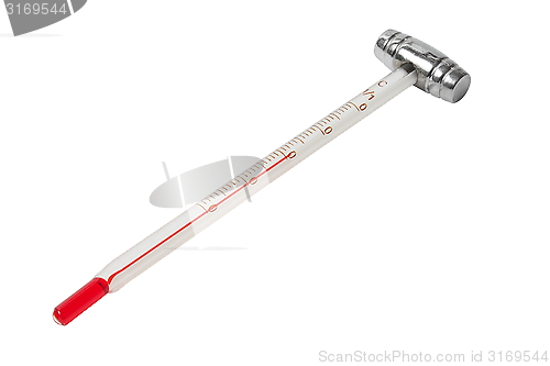 Image of Isolated wine thermometer