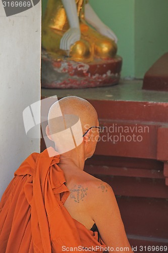 Image of Buddhist Monk