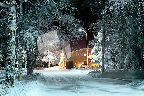 Image of Christmas tree outdoor.