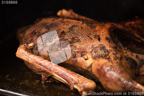 Image of roasted goose 