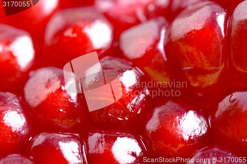 Image of Pomegranate background. Macro of peeled ripe seeds