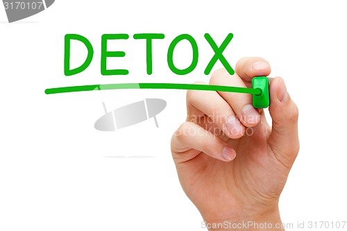 Image of Detox Green Marker