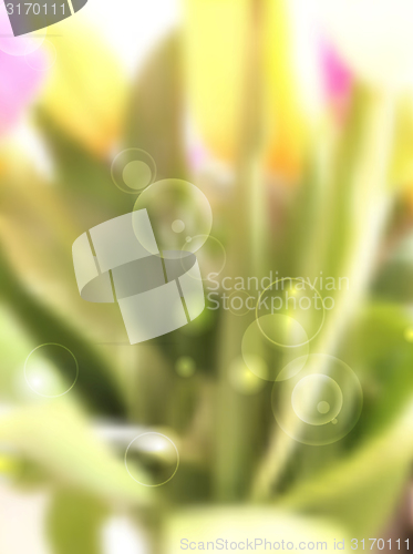 Image of Spring background. Blurred tulips bouquet