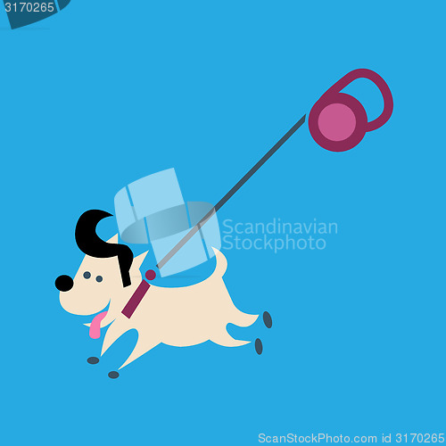 Image of Small dog on a leash