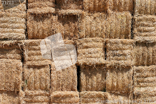 Image of hay bales background