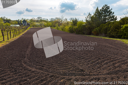 Image of Cultivated land closeup