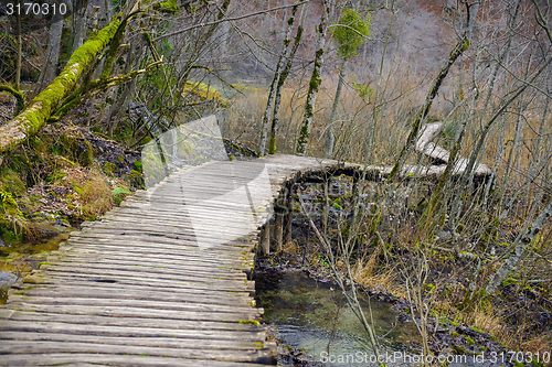 Image of Wooden path trough the lakes