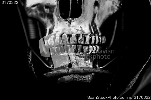 Image of Skull of a human size robot