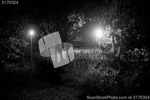 Image of Creepy park at night with illumination