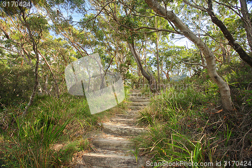 Image of Bushwalking in Jervis Bay National Park