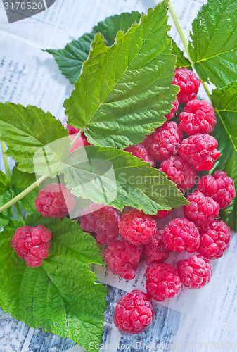 Image of raspberry