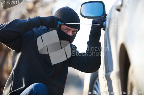 Image of car thief