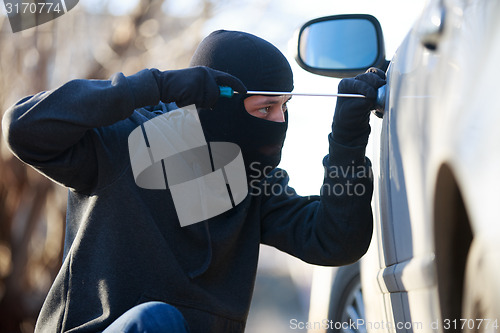 Image of car thief