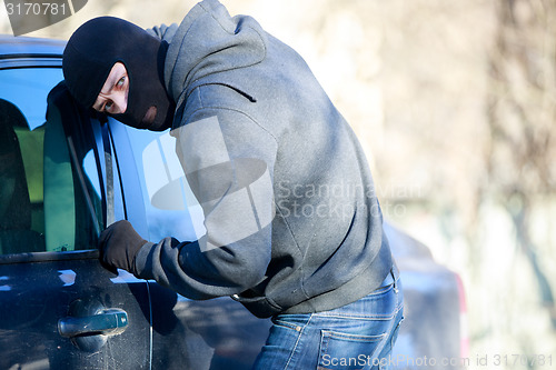 Image of car thief