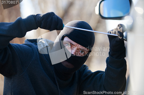 Image of car thief