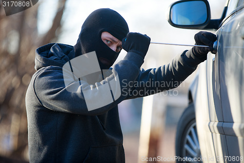 Image of car thief